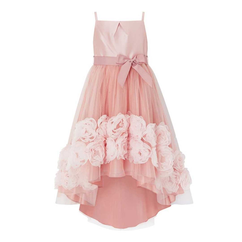 Brylee Pink Roses Dress