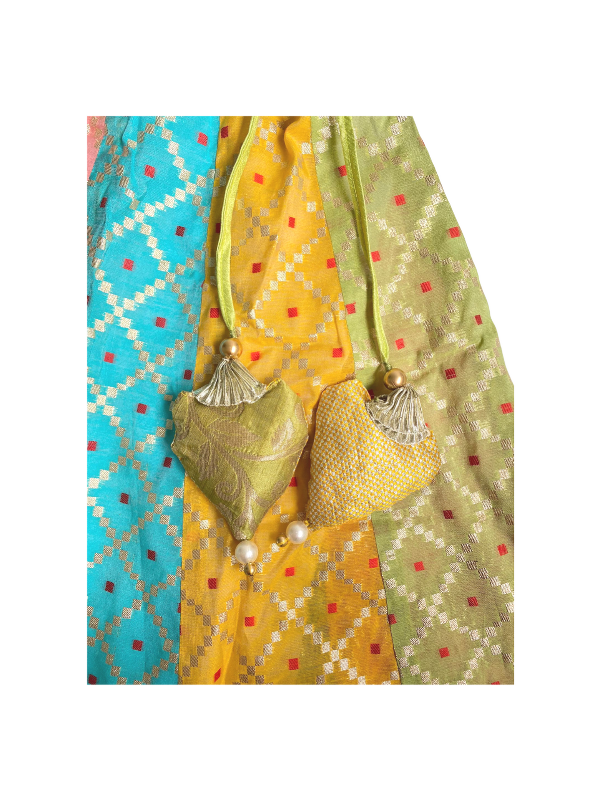 Anika Deepavali Racial Harmony Costume