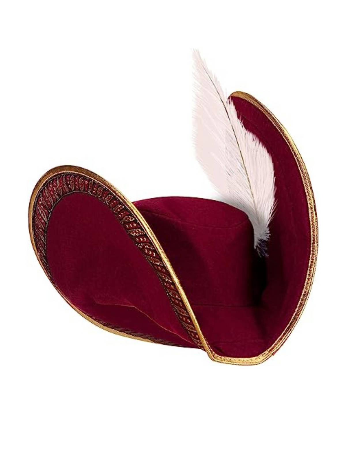 Captain Hook Pirate Hat