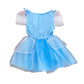 Cinderella Costume