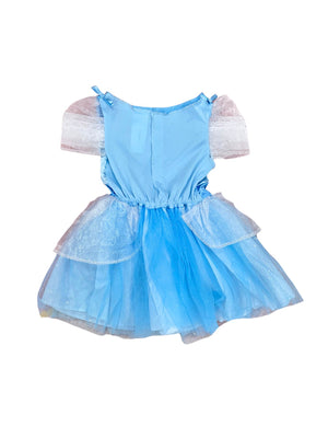 Cinderella Costume