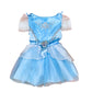 Cinderella Costume