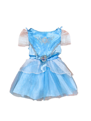 Cinderella Costume