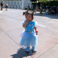 Cinderella Costume