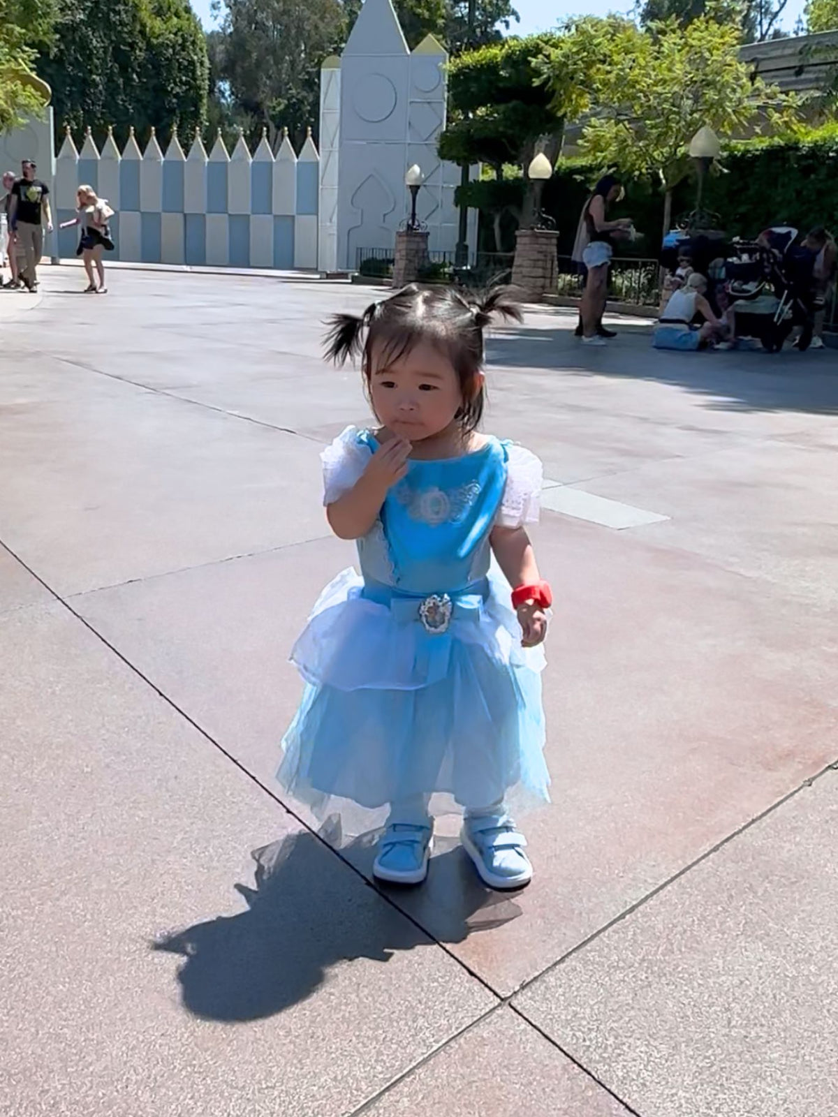 Cinderella Costume