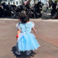 Cinderella Costume