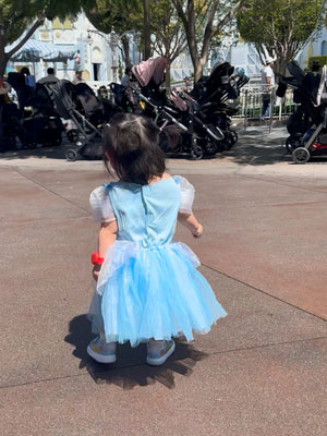 Cinderella Costume