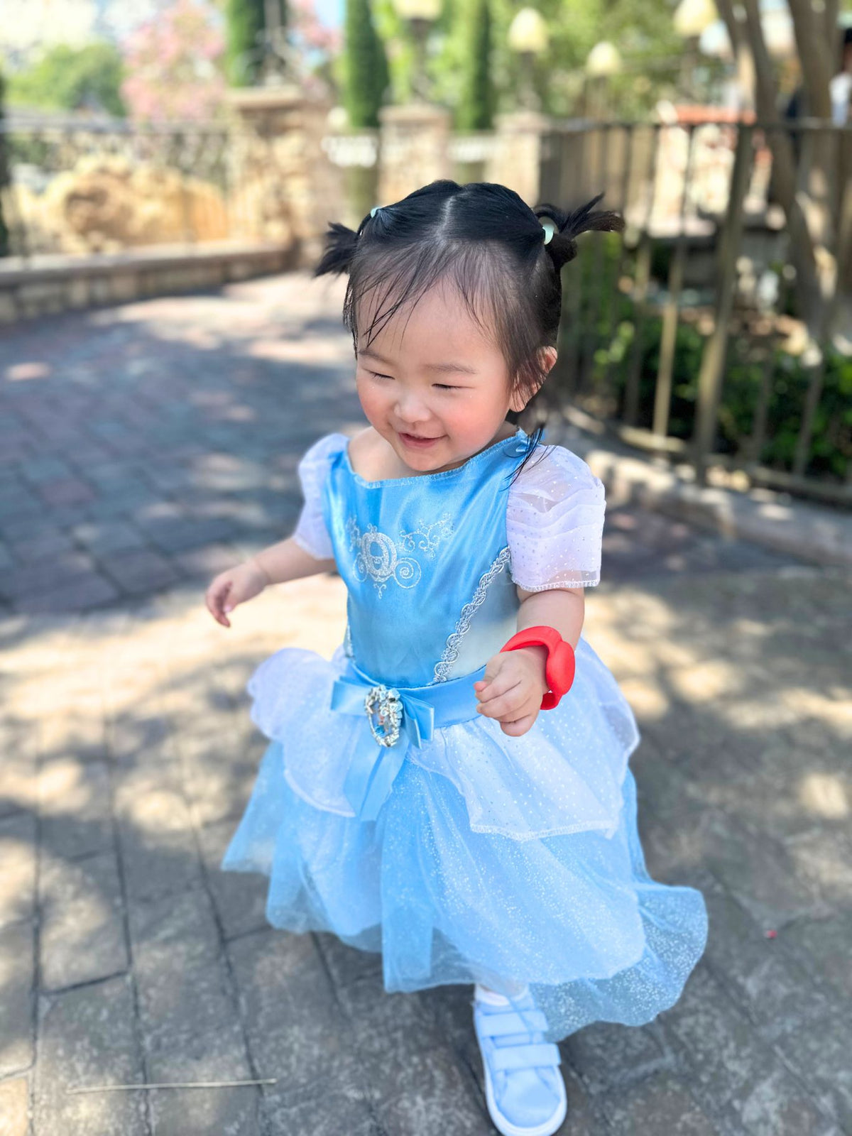 Cinderella Costume