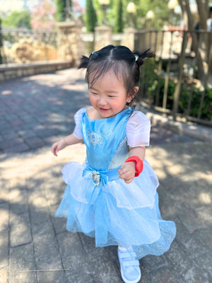 Cinderella Costume
