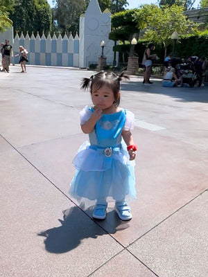 Cinderella Costume