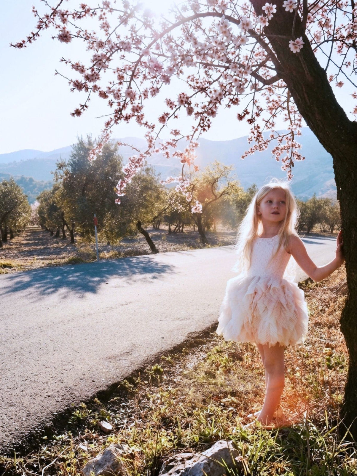 Daenarys Pink Tulle Dress