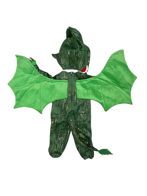 Green Dragon Costume