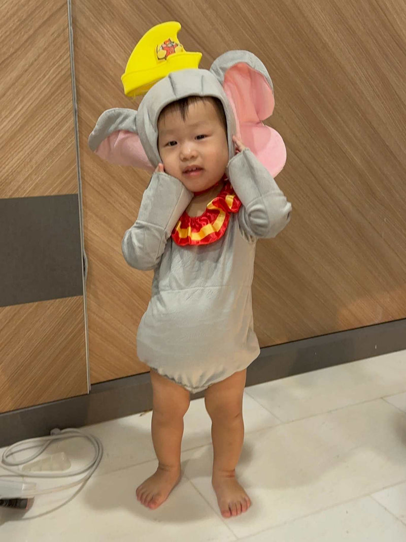 Dumbo Elephant Costume