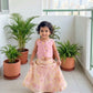 Farisha Indian Costume (Loved)
