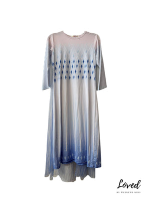 Frozen Costume (Loved)