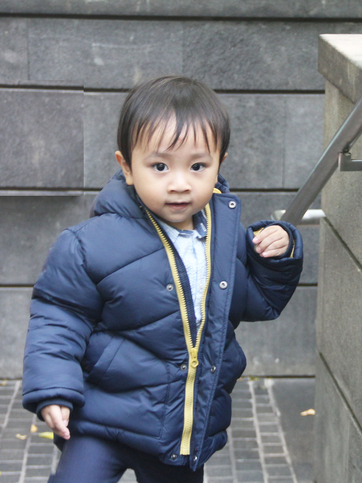 Linus Puffer Jacket