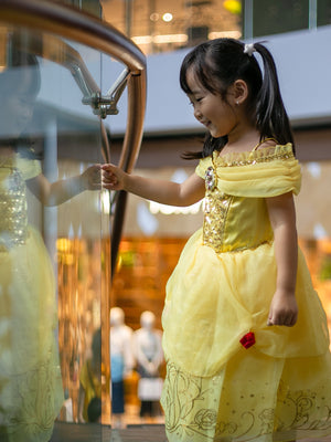 Belle Princess Costume