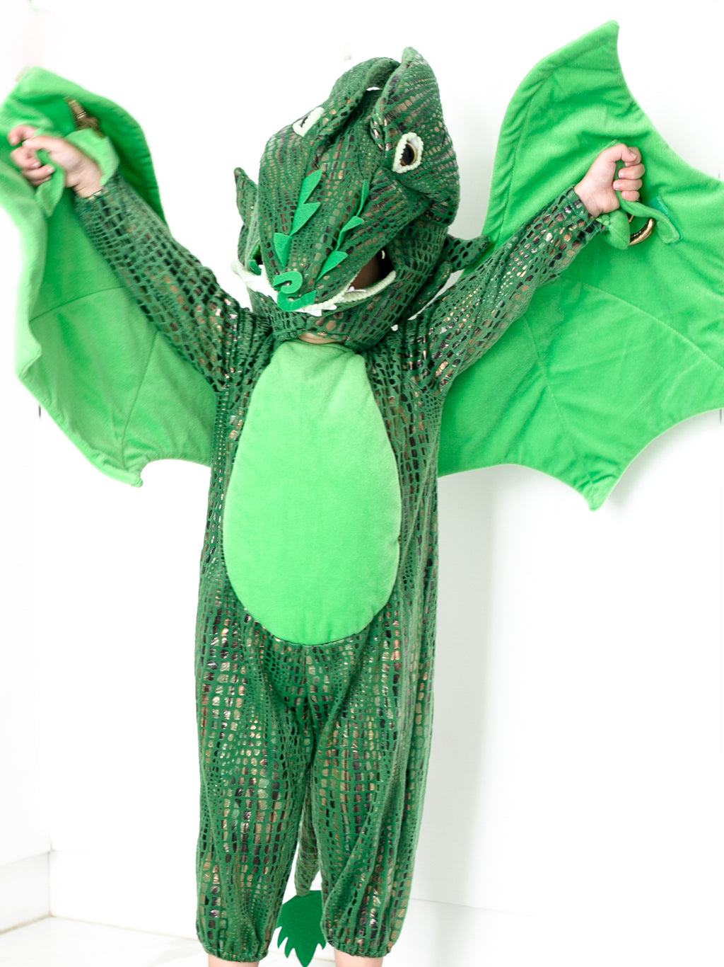Green Dragon Costume