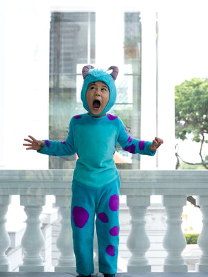 Sully Monsters Inc