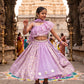 Ira Pastel Indian Costume