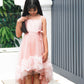 Brylee Pink Roses Dress