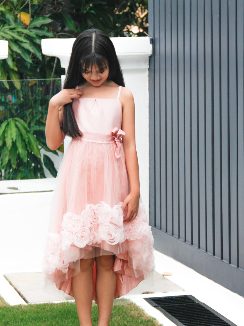 Brylee Pink Roses Dress