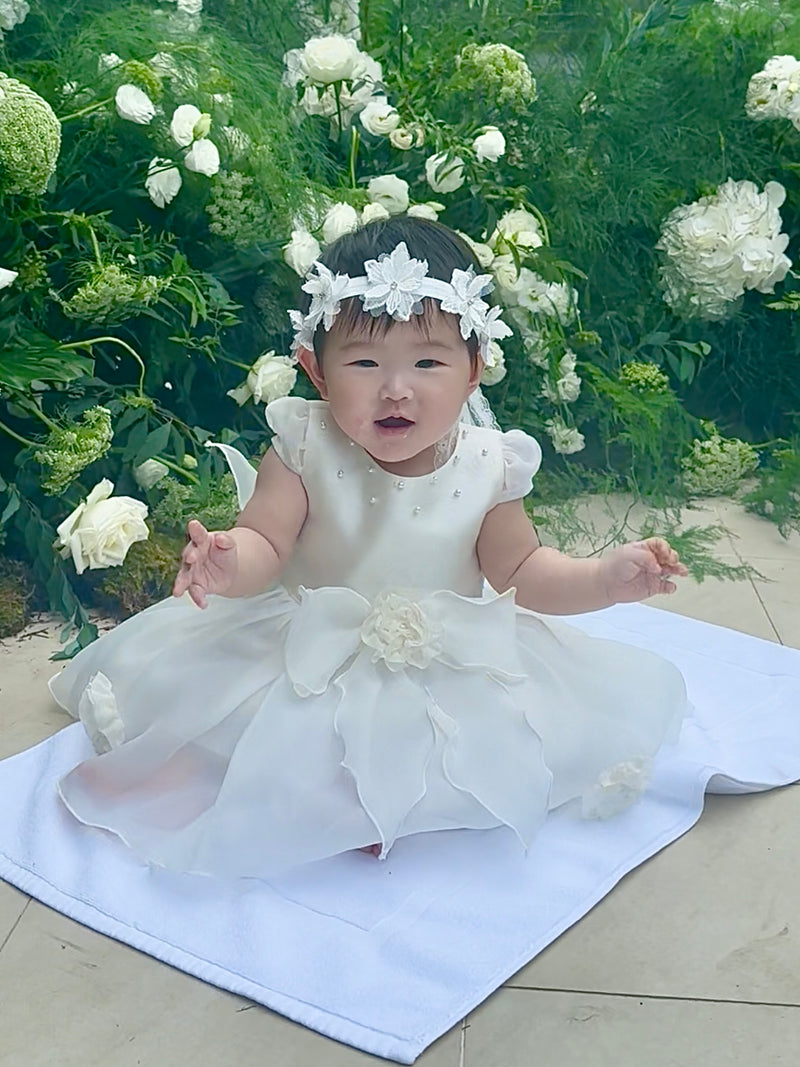 Novalie Dress (Loved)