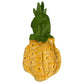 Pineapple Fruit Costume