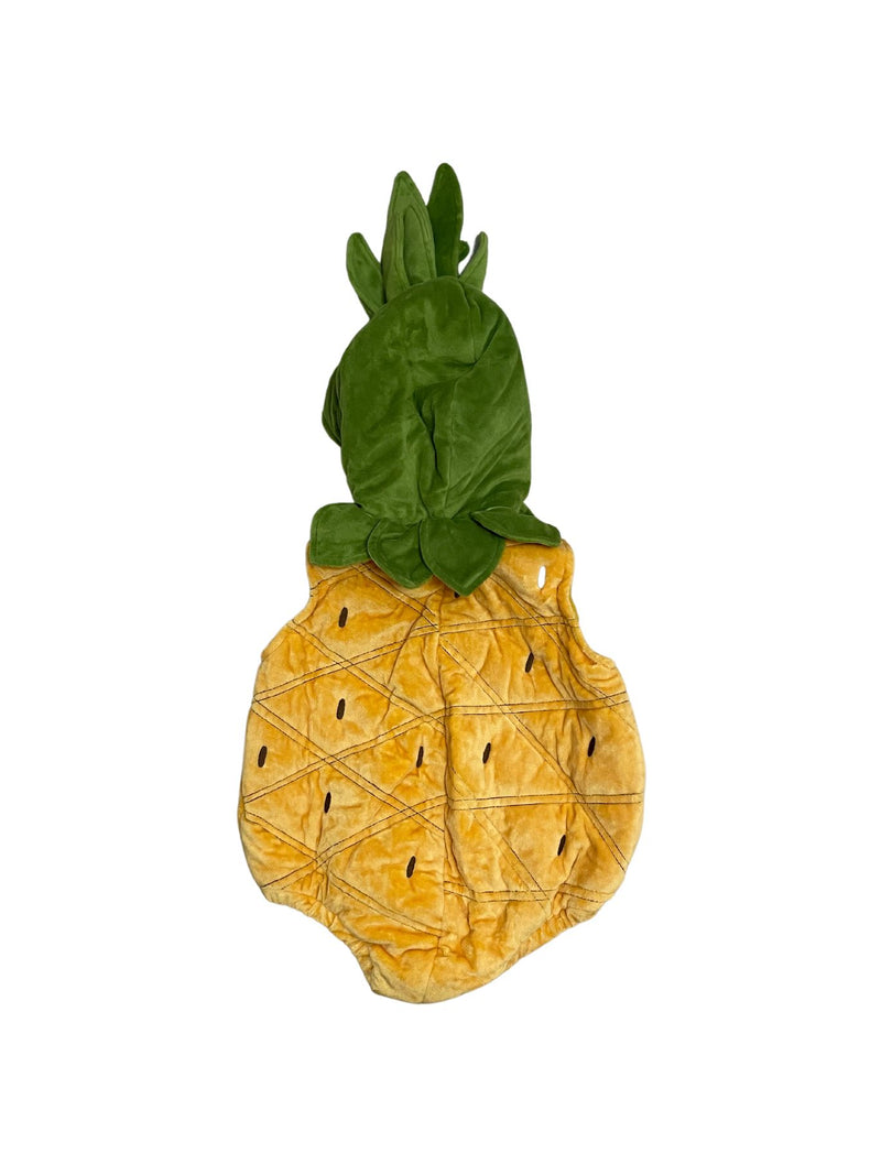Pineapple Fruit Costume
