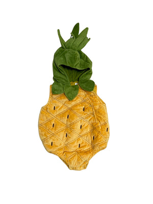 Pineapple Fruit Costume
