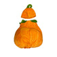 Pumpkin Fruit