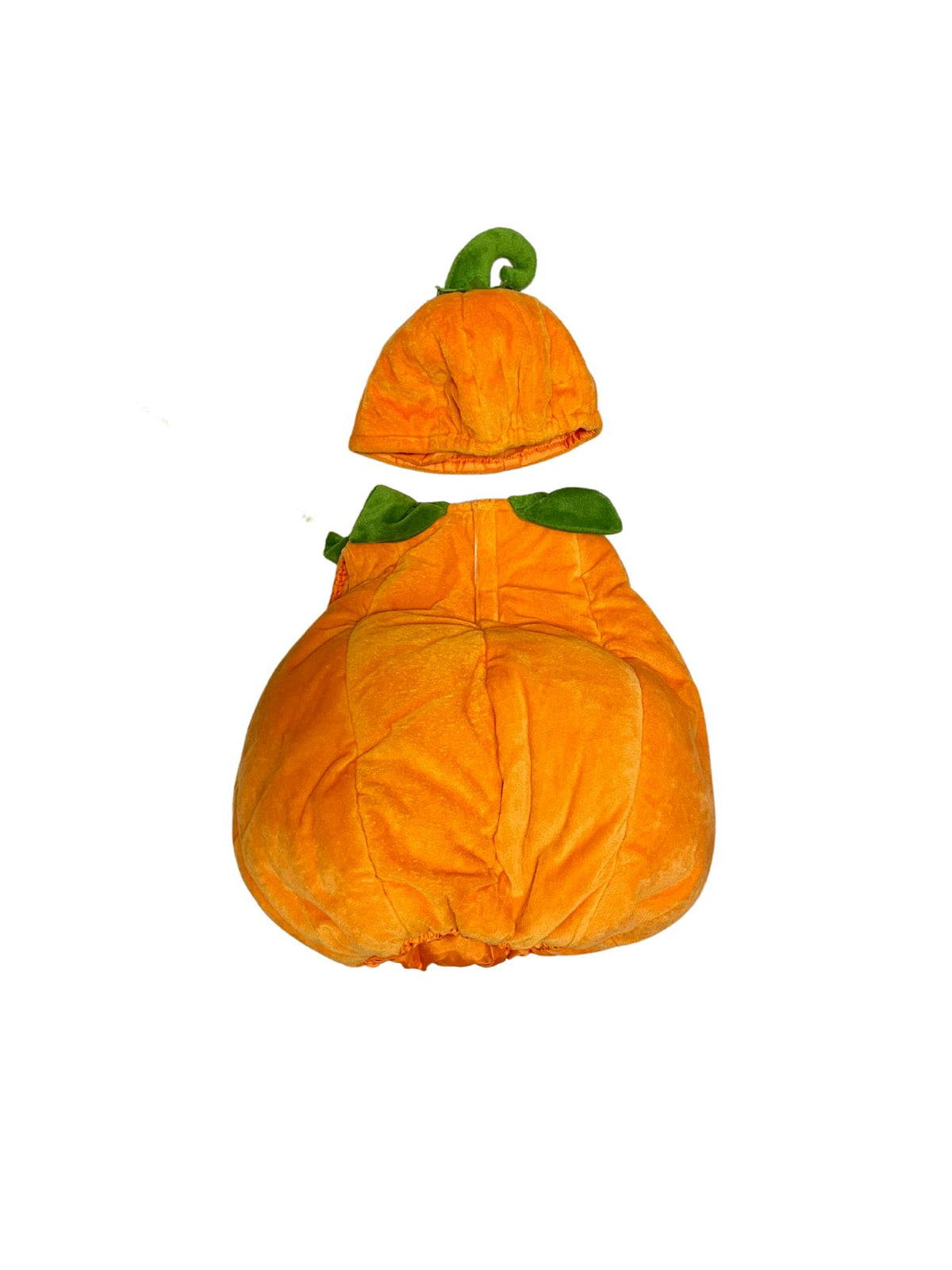 Pumpkin Fruit