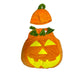 Pumpkin Fruit