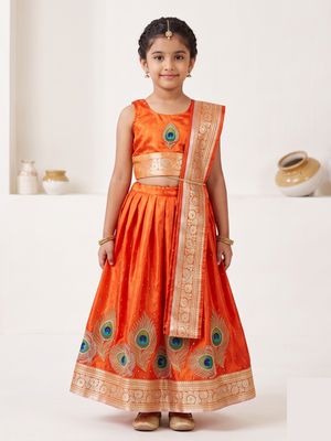 Zoha Indian Costume (Loved)