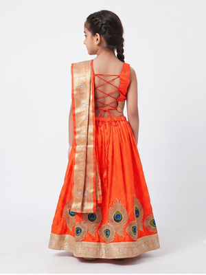 Zoha Indian Costume (Loved)