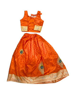 Zoha Indian Costume (Loved)