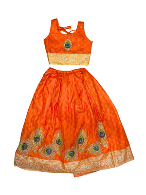 Zoha Indian Costume (Loved)