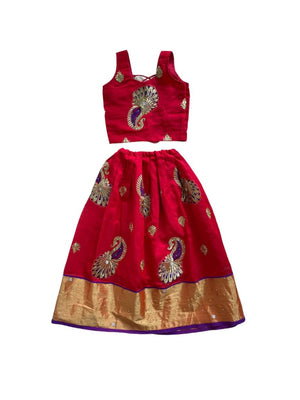 Zunaira Indian Costume (Loved)