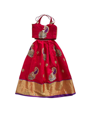 Zunaira Indian Costume (Loved)