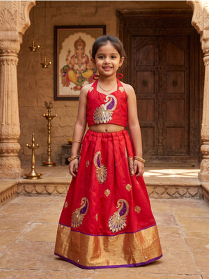 Zunaira Indian Costume (Loved)
