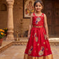 Zunaira Indian Costume (Loved)