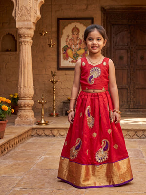 Zunaira Indian Costume (Loved)