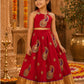 Zunaira Indian Costume (Loved)