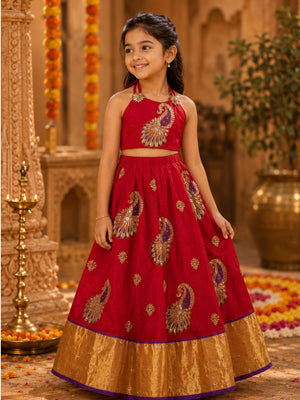 Zunaira Indian Costume (Loved)