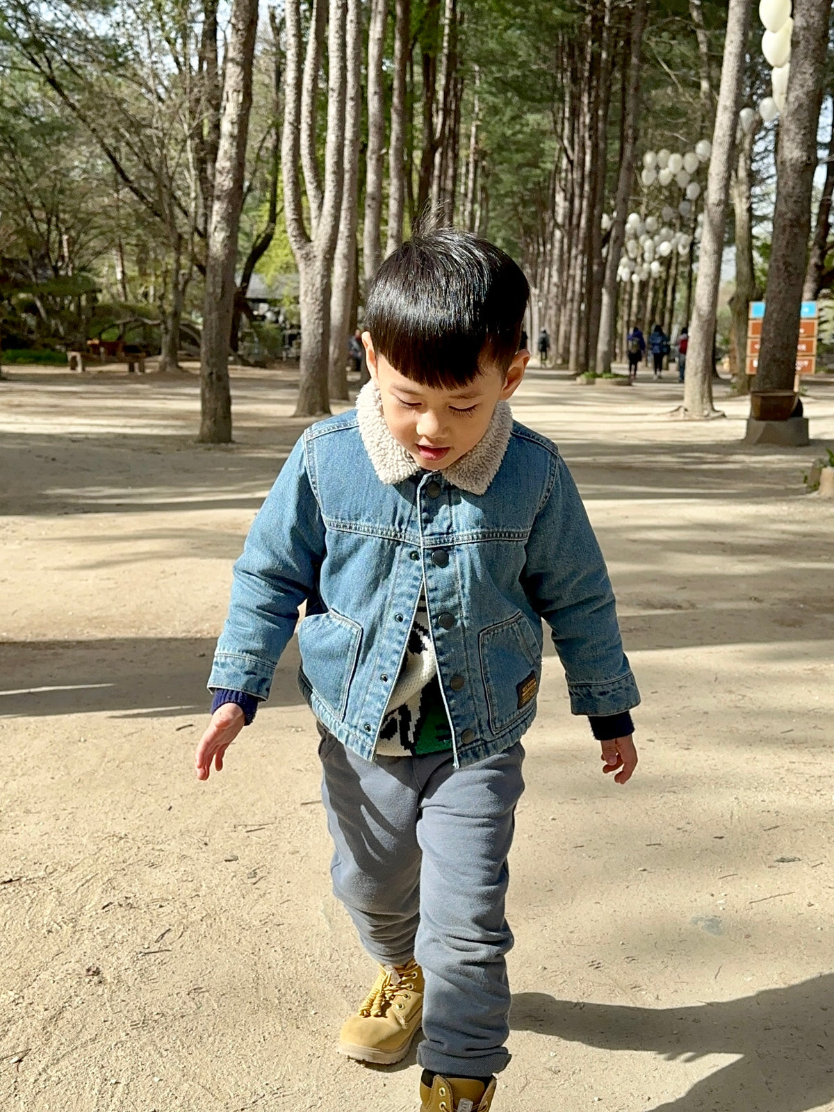 Wren Denim Borg Collar Jacket