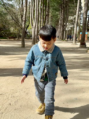 Wren Denim Borg Collar Jacket