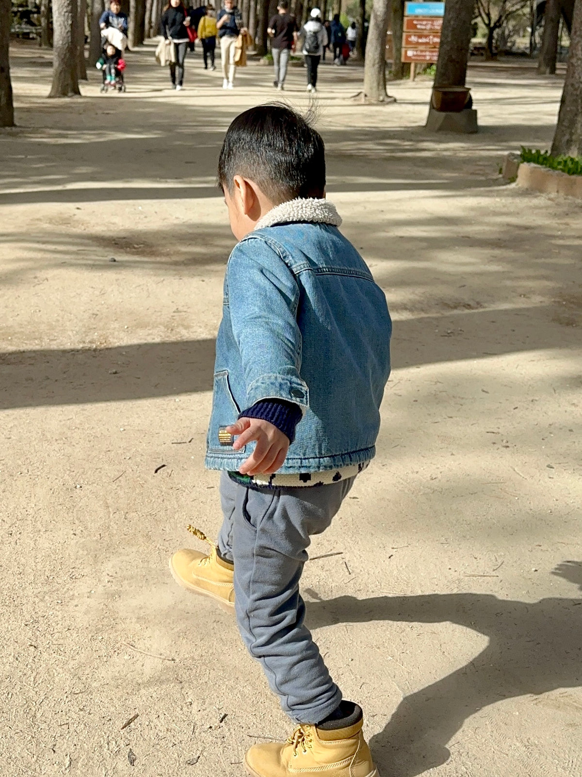 Wren Denim Borg Collar Jacket