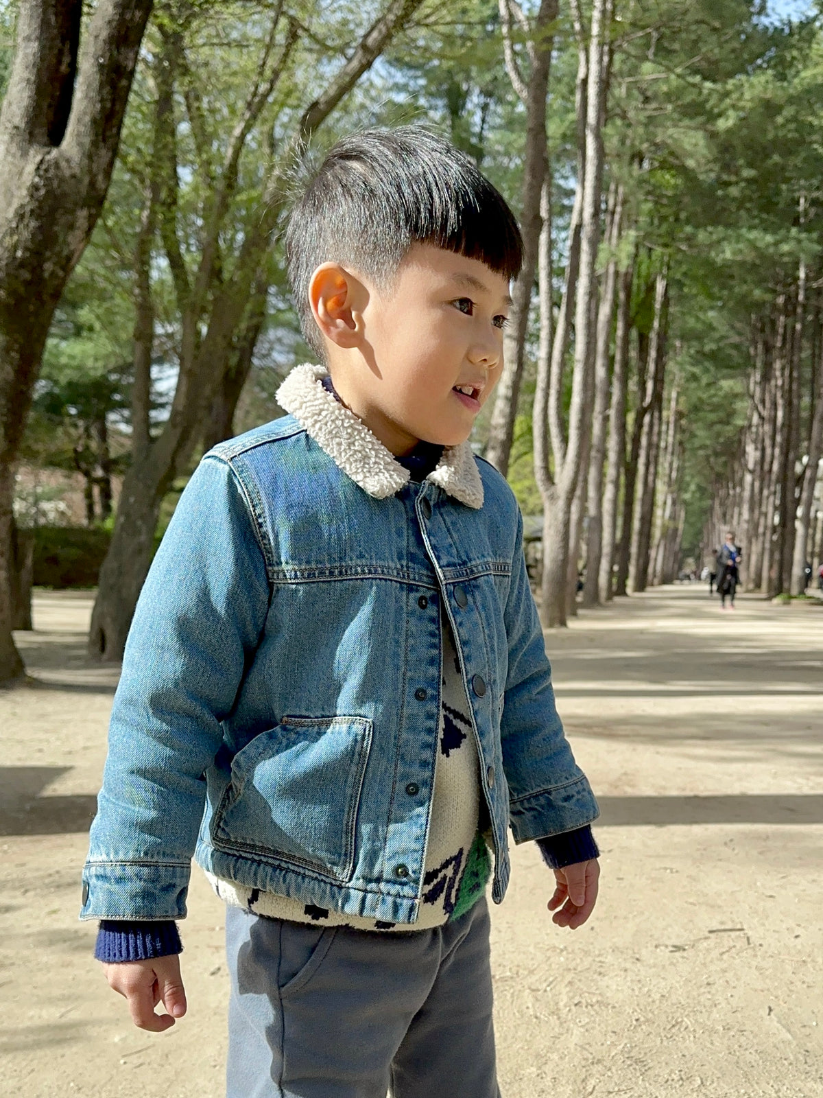 Wren Denim Borg Collar Jacket
