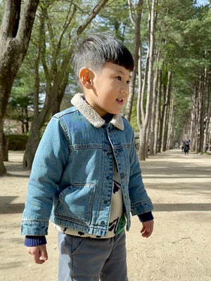 Wren Denim Borg Collar Jacket