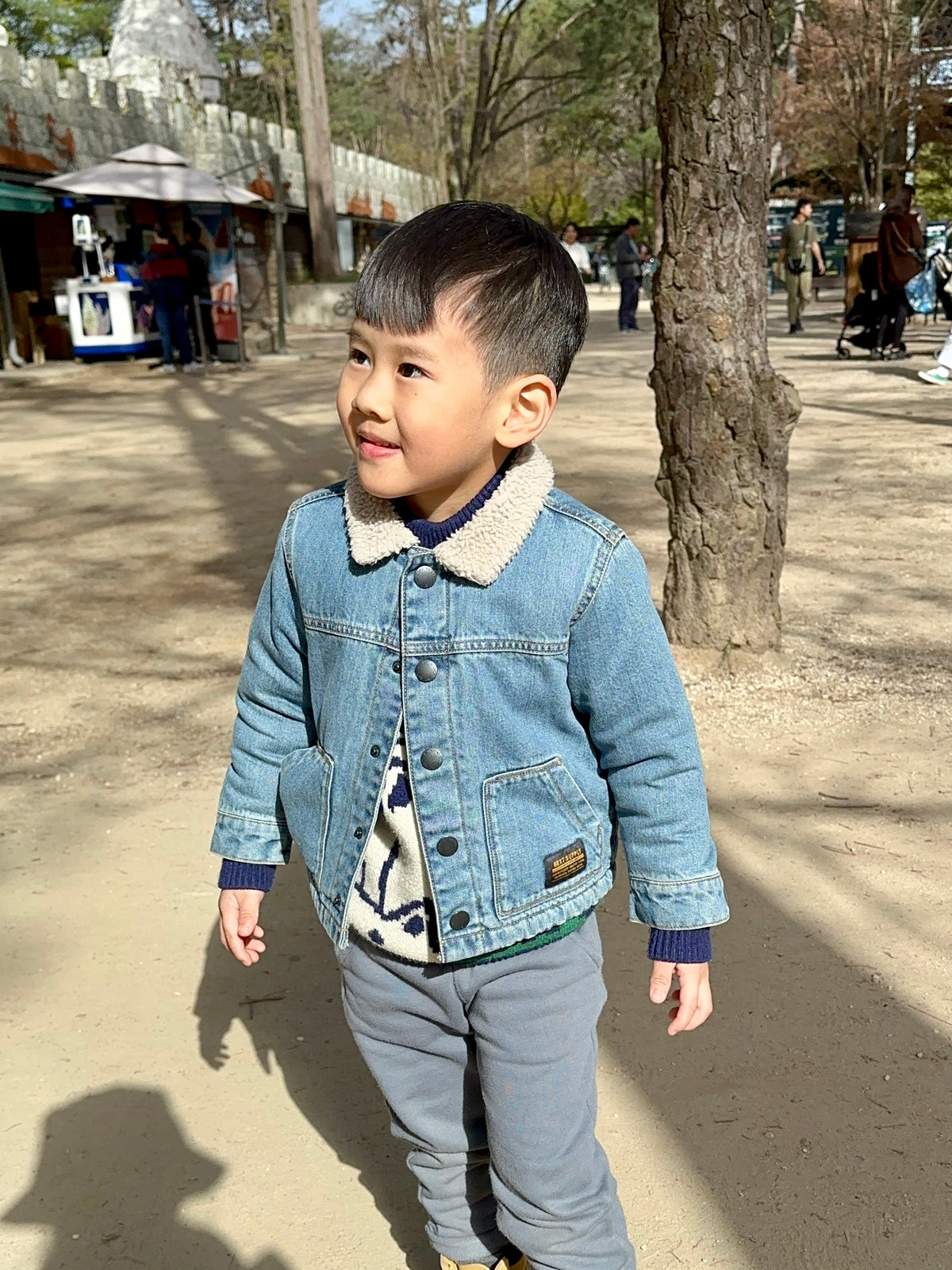 Wren Denim Borg Collar Jacket